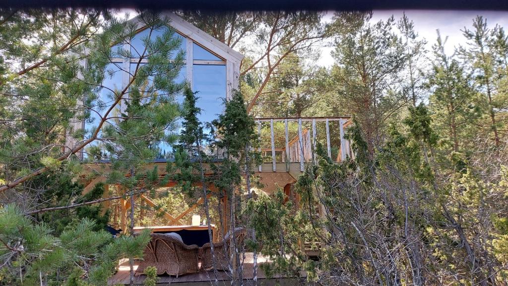 Üügumetsa treehouse photo 4