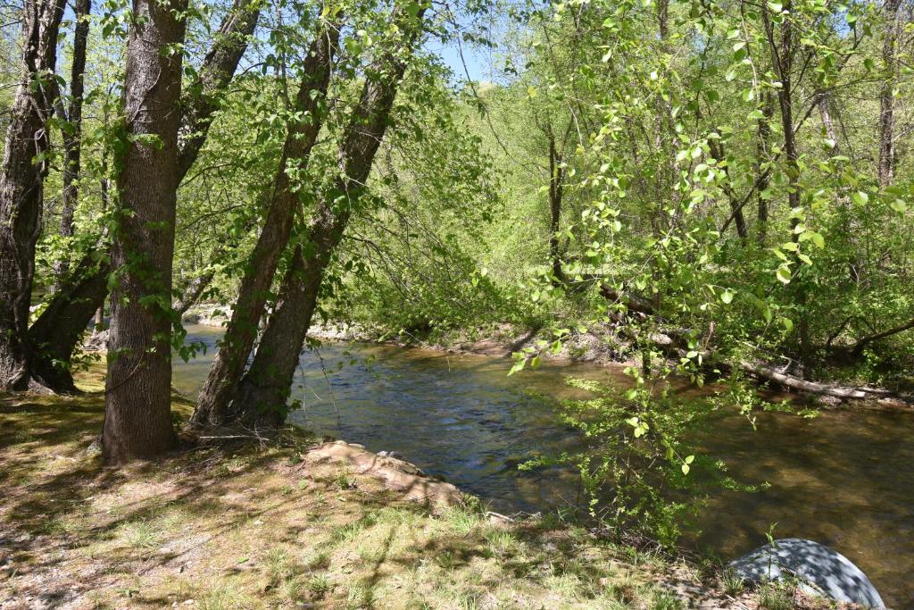Riverside Trout Cottage photo 1