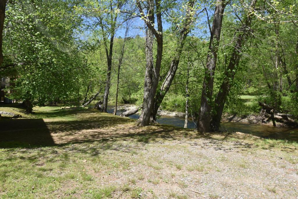 Riverside Trout Cottage photo 2