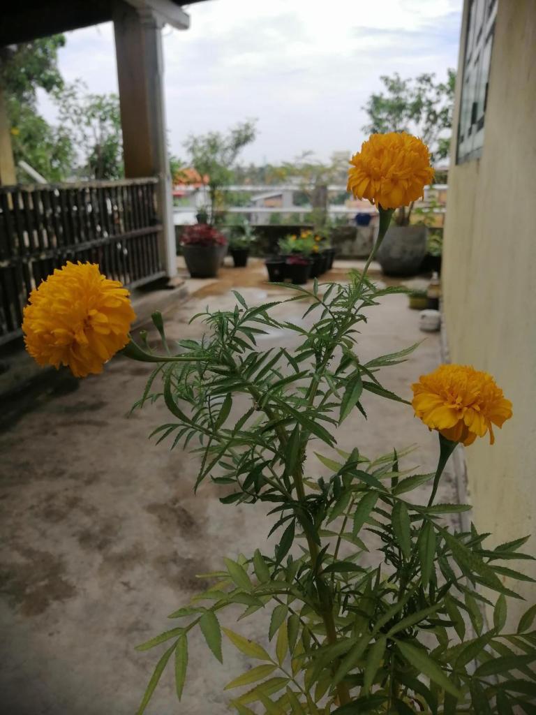 Sithila Villa photo 3