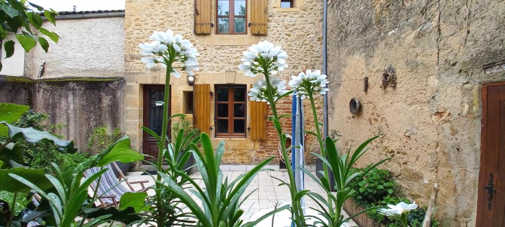 villa Marguerite terrasse & garage
