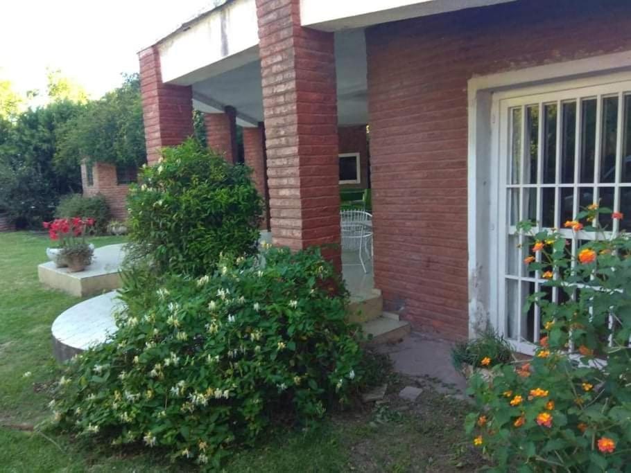 La colina photo 4