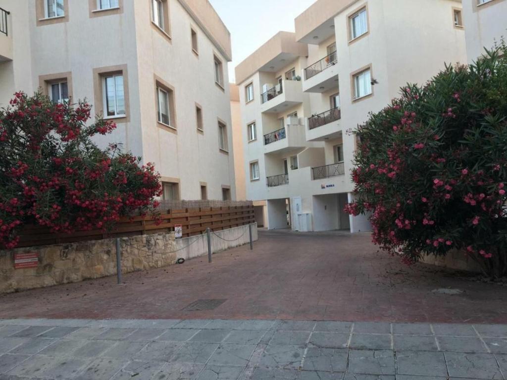 Ancient Paphos - cozy place next to the sea, marina, historical sites, buses, mall, and market photo 1