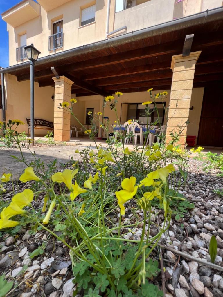 Oasi Sicula Apartment photo 3