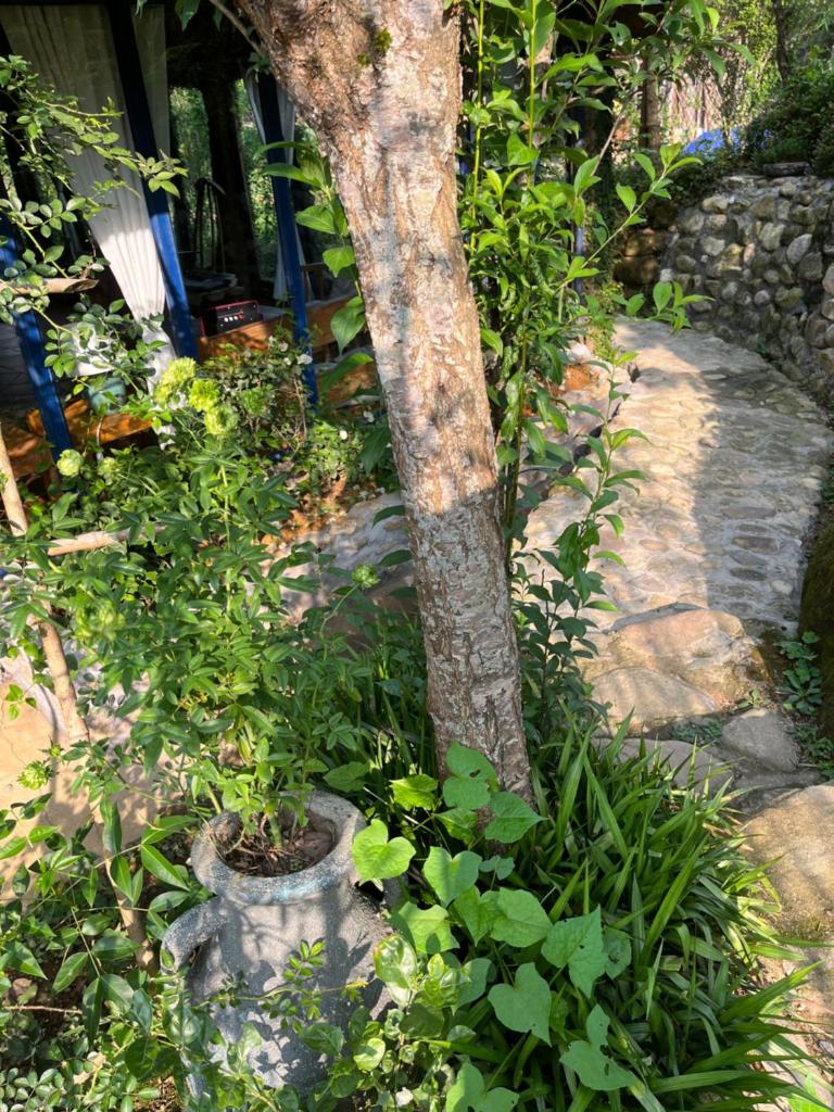 H’nee House Ta Van