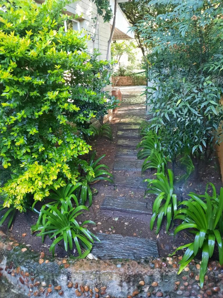 Nel's Cottage, a private and peaceful cottage photo 3