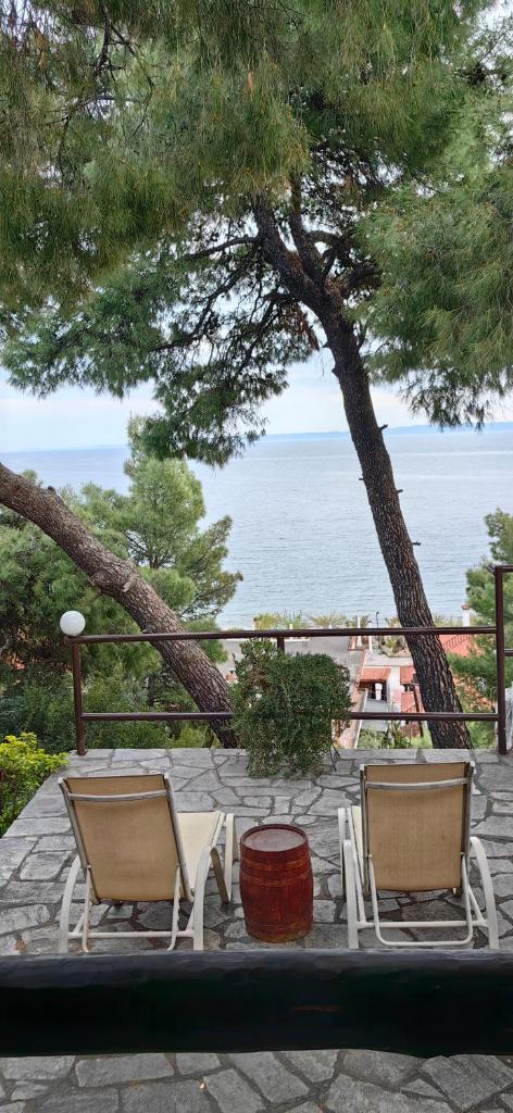 Grandmas Paradise Villa photo 3