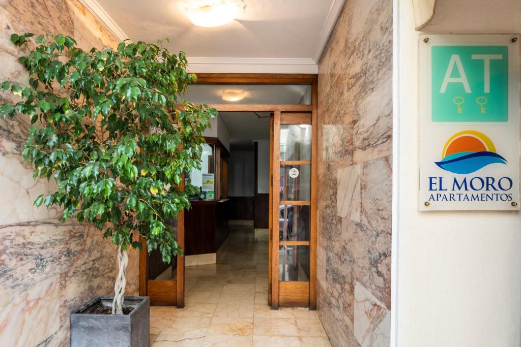 Apartamentos El Moro photo 1
