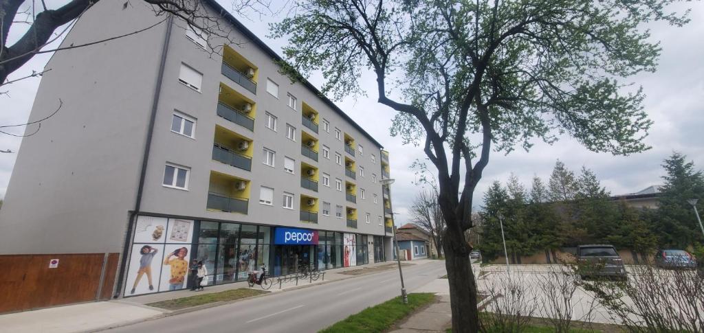 Apartman Centar Bečej photo 2