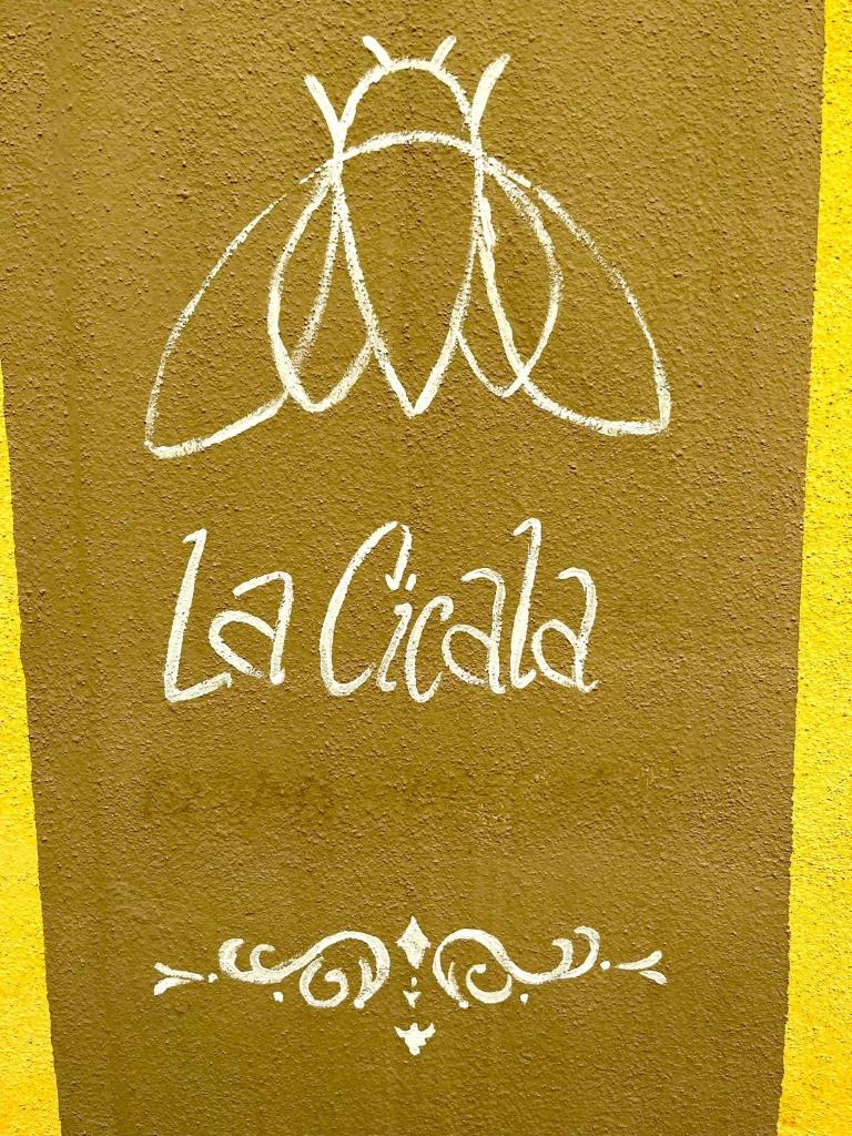 La cicala photo 1