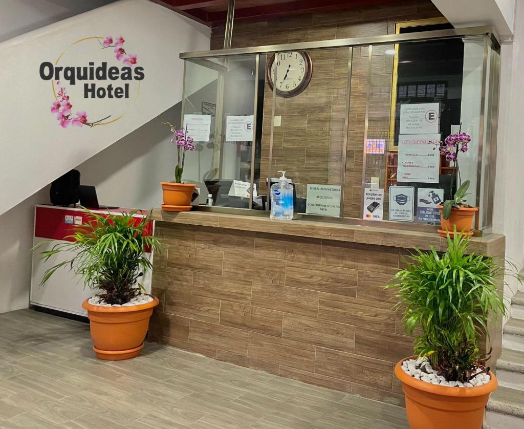 Orquídeas Hotel photo 1