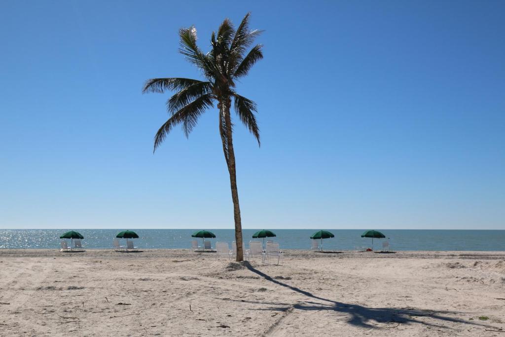 Island Inn image
