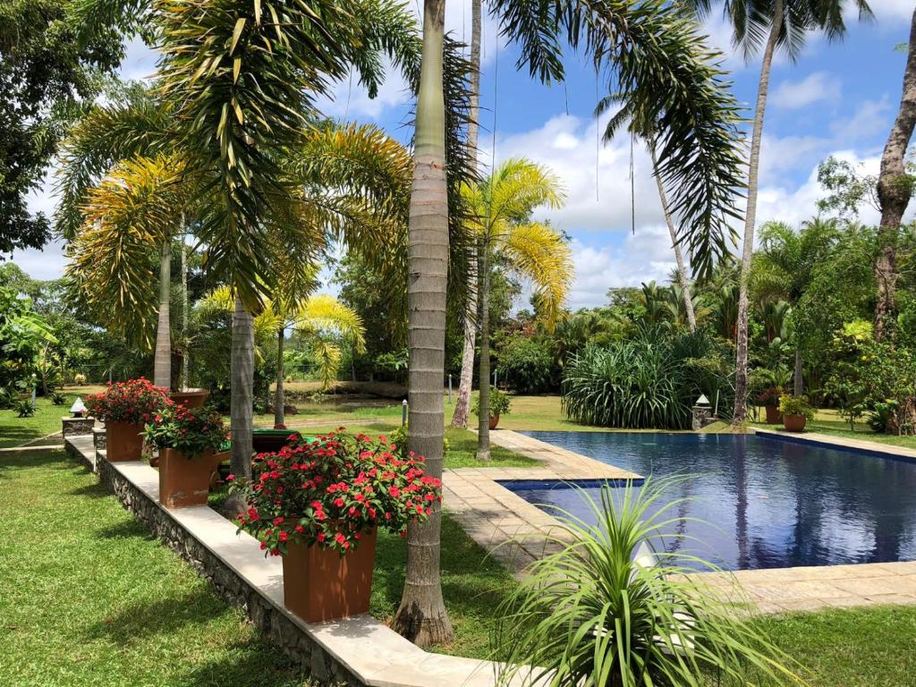 Avalon Village Resort