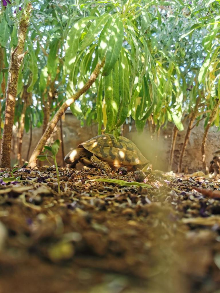 Holiday Home Gabelot photo 2