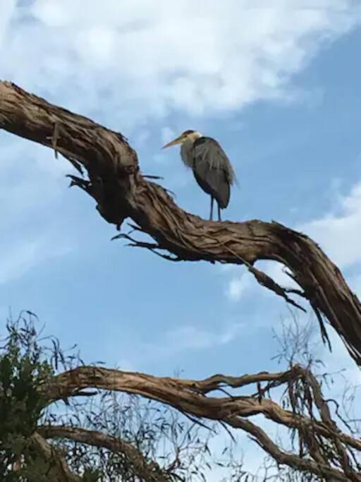 Malibu Coastal Escape, Beach & Hiking Mins Away photo 2