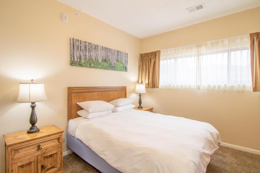 Coyote Mountain Lodge photo 1