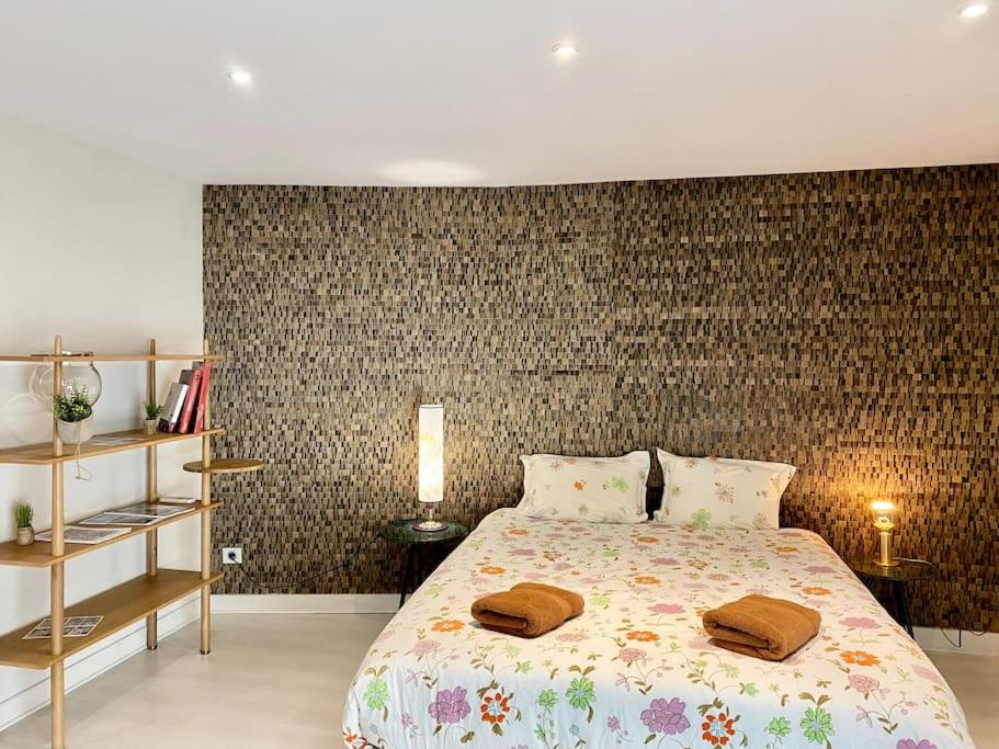 *Victoria Plaza* Loft au cœur de Vichy