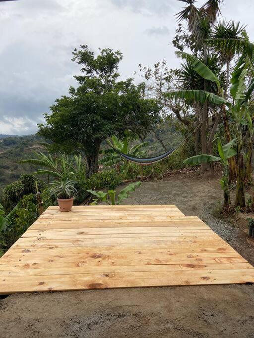 Casa Vista Cafe photo 4