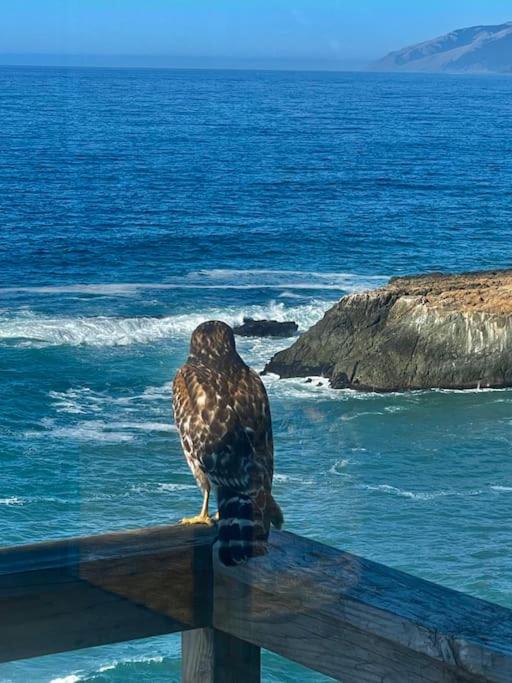 Magnificent Oceanview Hot Tub! Oceanfront! Shelter Cove, CA photo 4