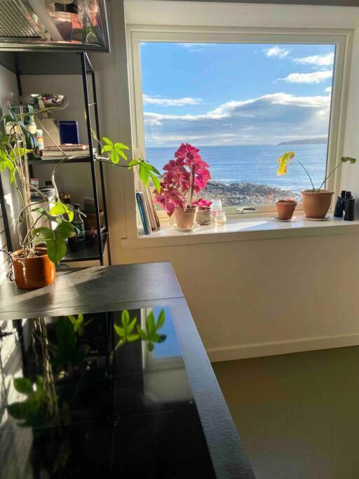 Newly renovated house with garden and ocean view photo 4