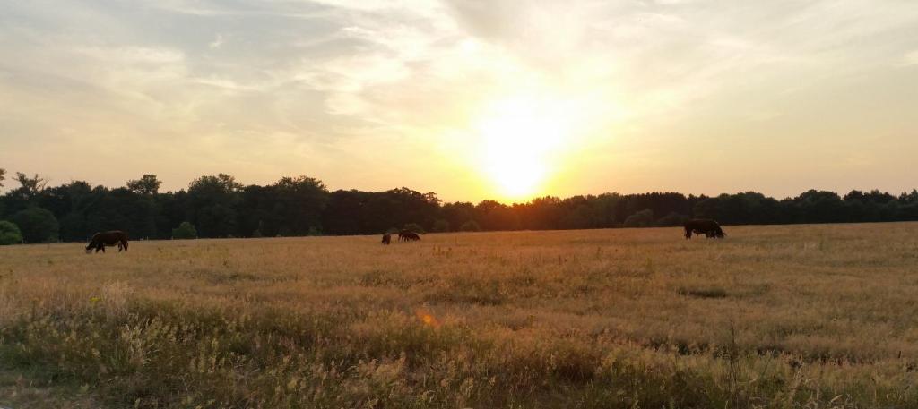Houterhoeve photo 1