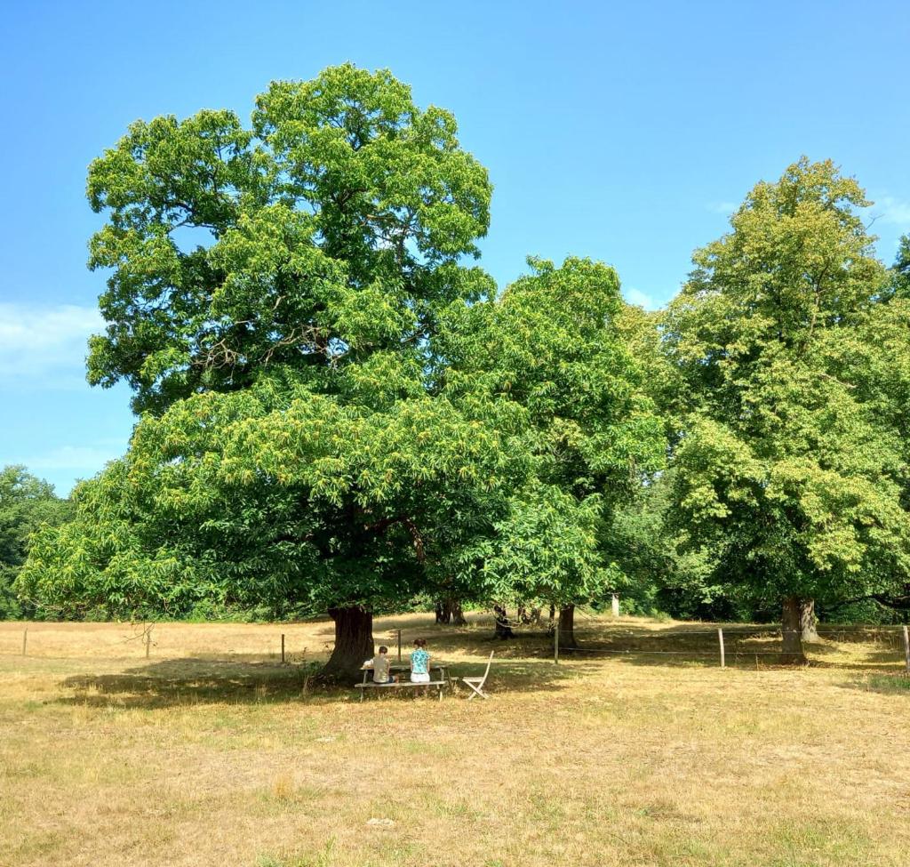 Houterhoeve photo 4