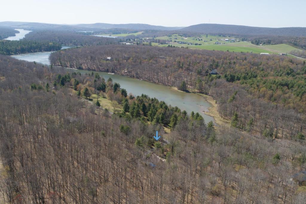 Poppy's Mountain House photo 2