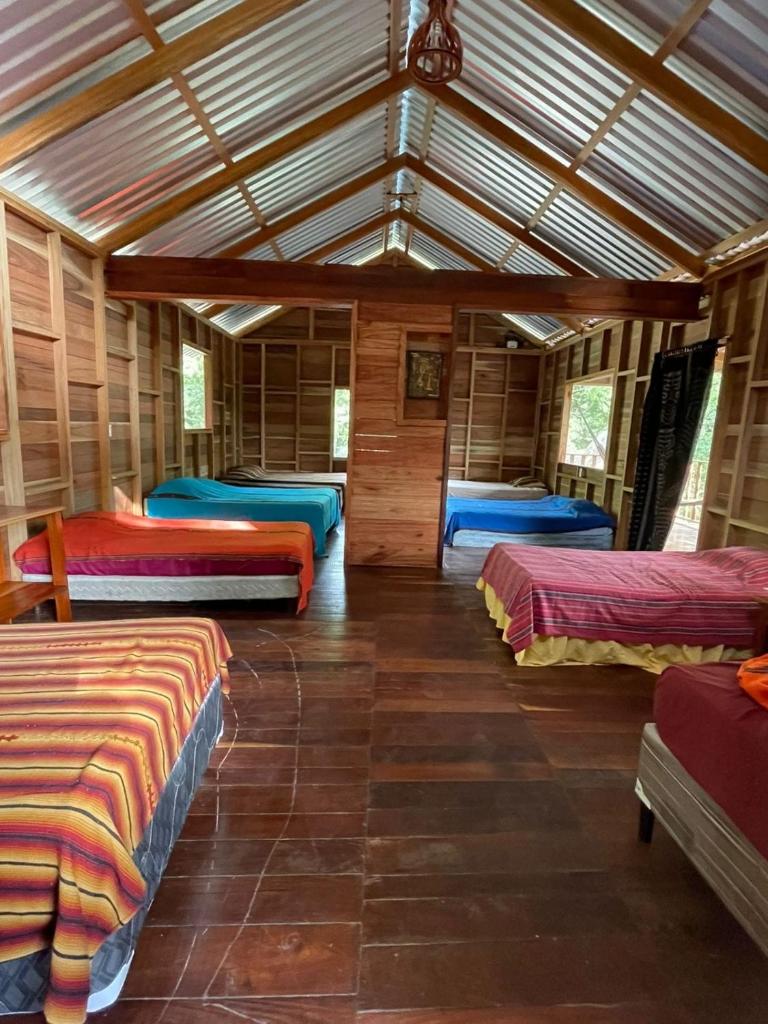 Hotel Mon Ami photo 4