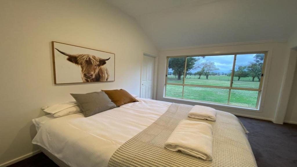 Jumbuck Cottage photo 3