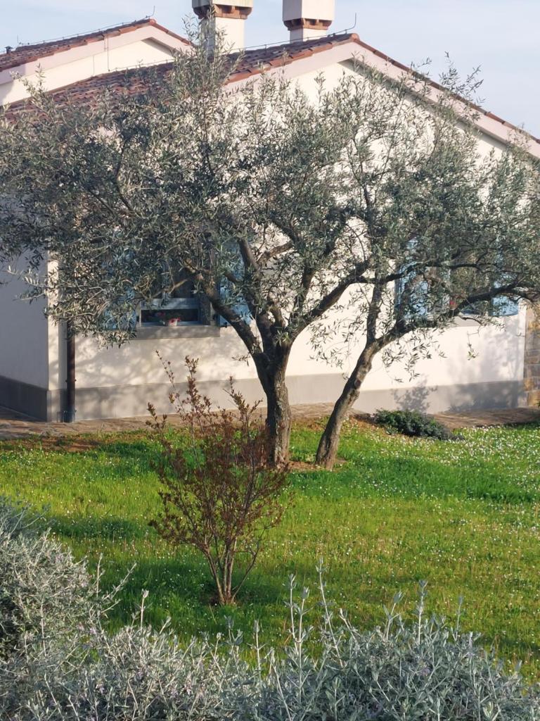 APARTMENT KORTINE photo 3