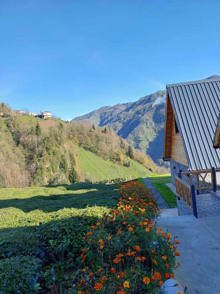 ELVA BUNGALOV photo 4