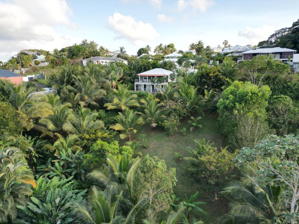 Villa Écrin de Nature photo 2