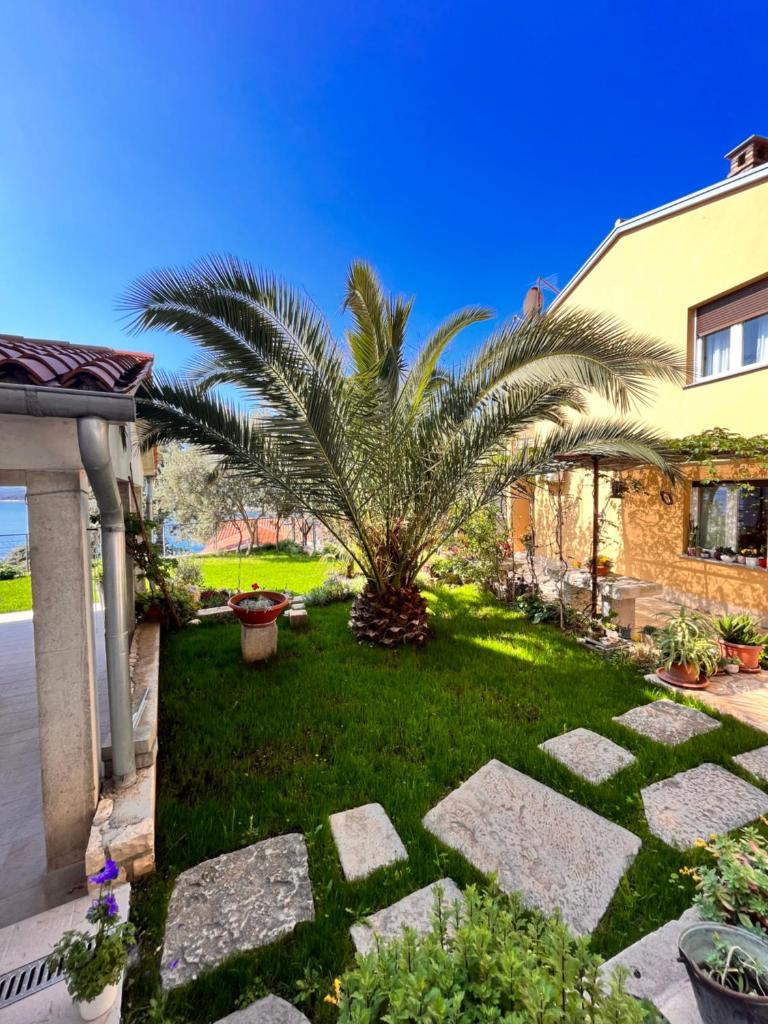 Pet friendly Apartments Licul photo 2