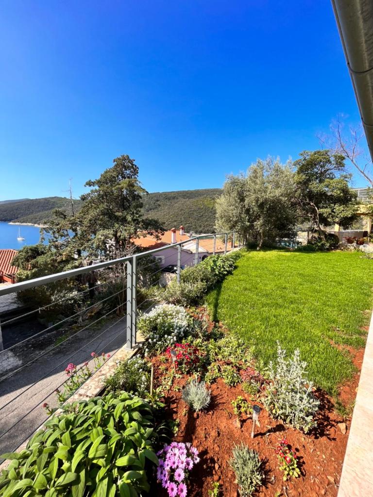 Pet friendly Apartments Licul photo 3