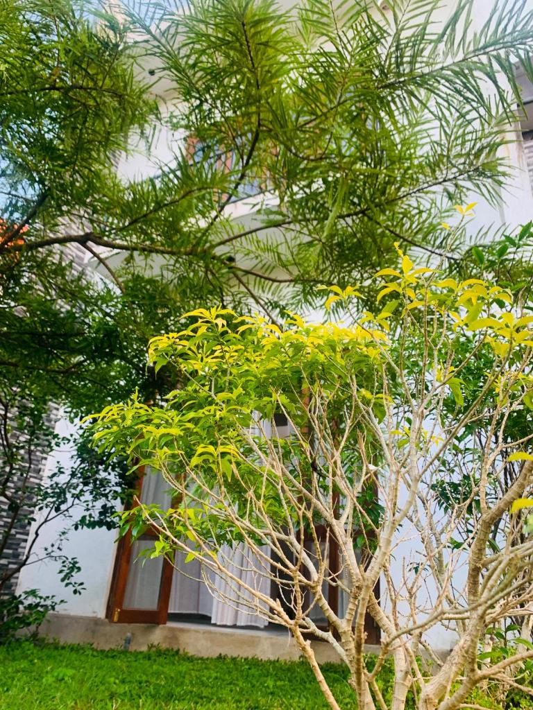 Jungle city Hostel photo 3
