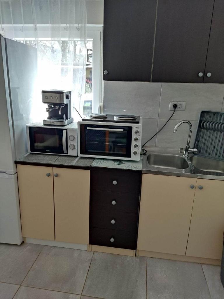 Apartman David-Dražice photo 4