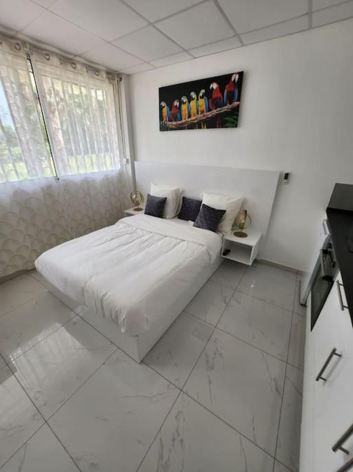 Hello-Guyane, Marina 3, Studio Prestige 5 étoiles photo 2