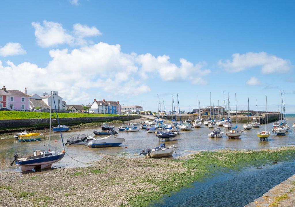 Angorfa Aberaeron Apartment photo 2