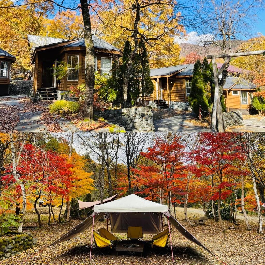 Hakuba Canadian Lodge photo 3