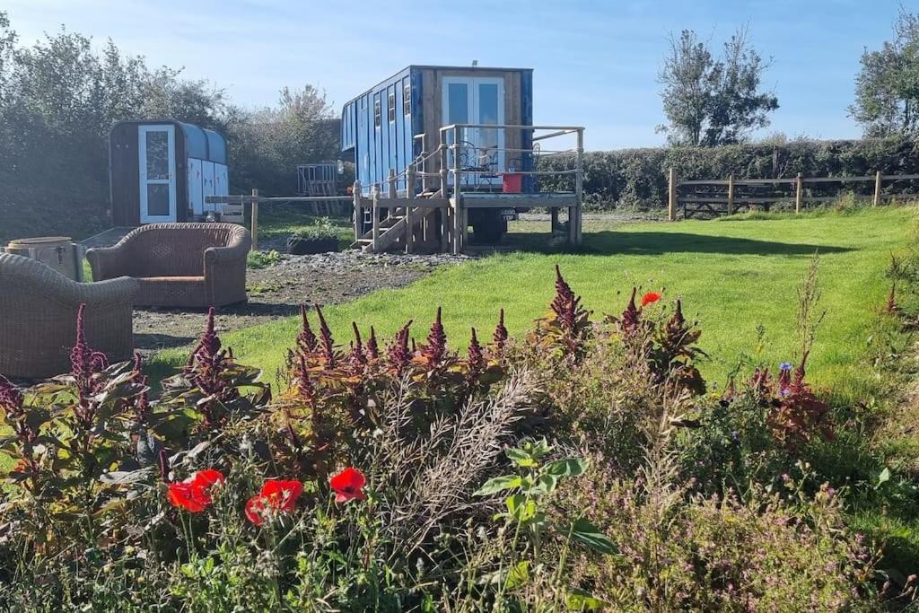 Celaeron Glamping photo 2