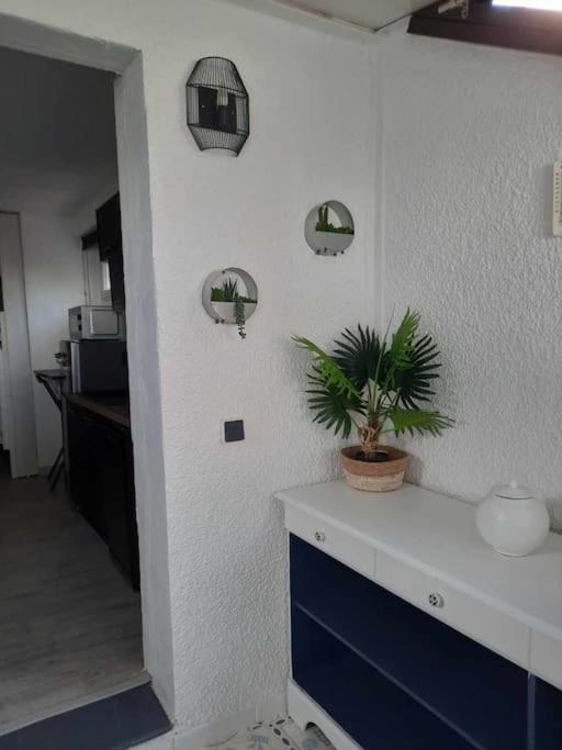 Superbe appartement rénové avec parking privatif photo 1