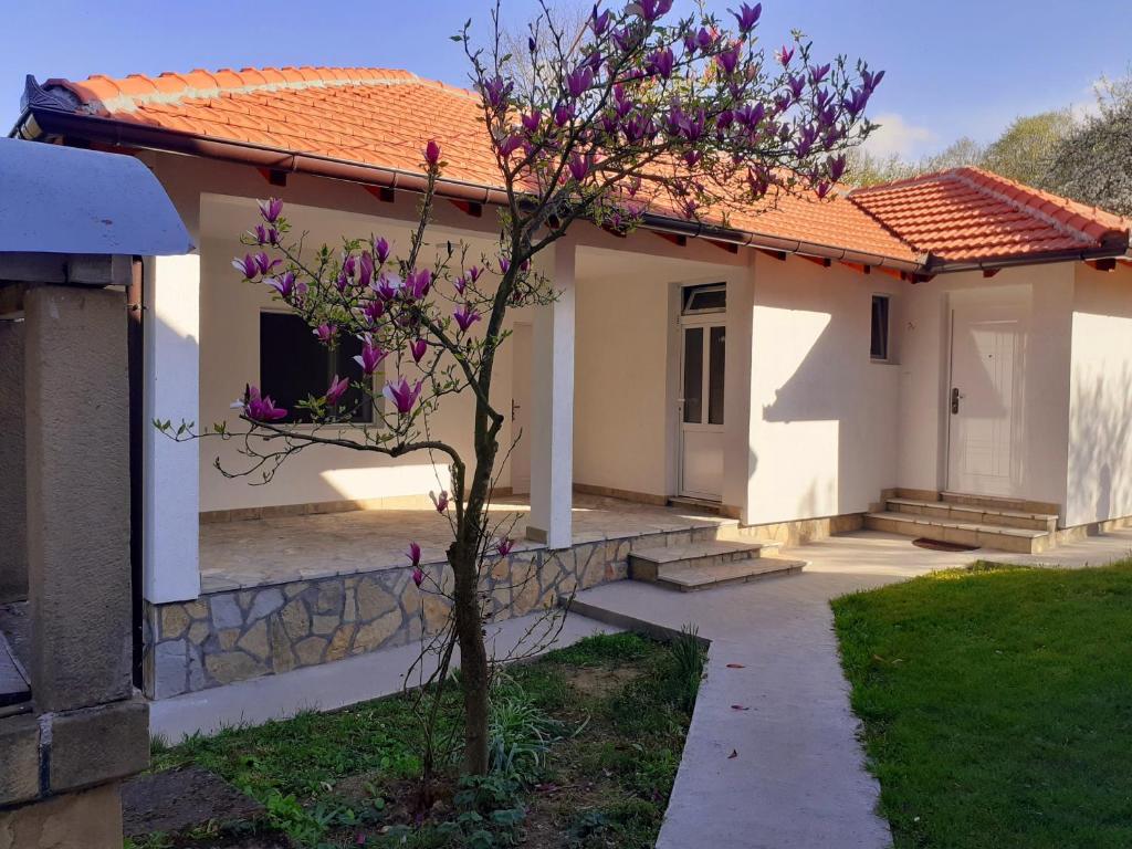 Apartman Predah Banja Vrujci photo 3