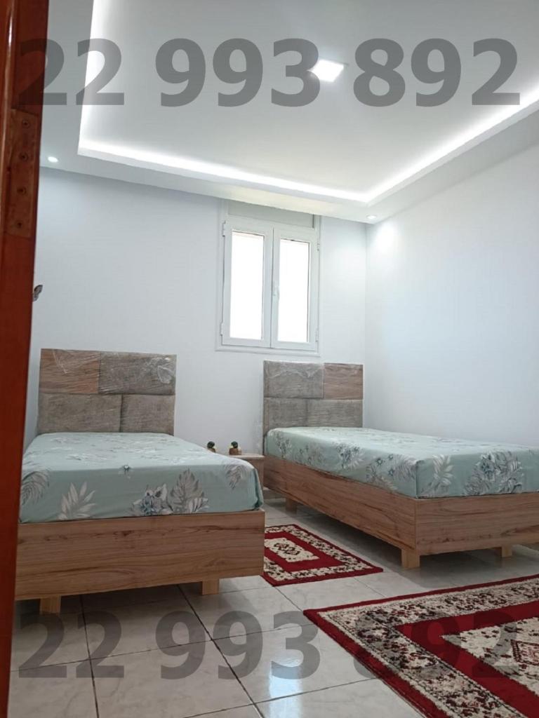 S+2 pied dans l'eau kerkouane SOF 22993892 photo 4