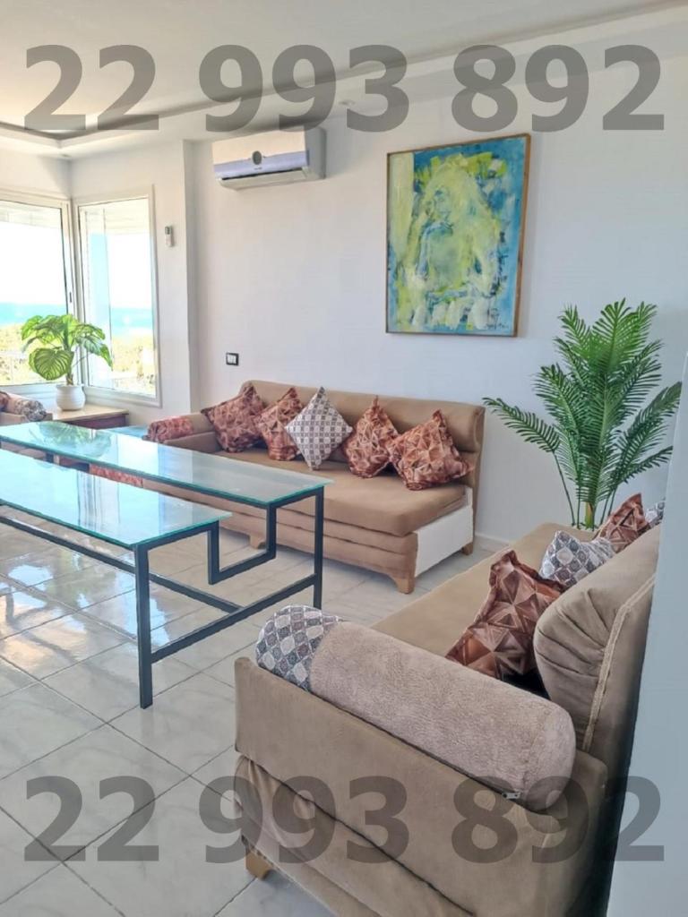 S+2 pied dans l'eau kerkouane SOF 22993892 photo 2