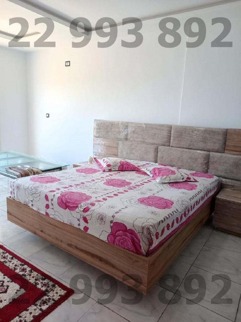 S+2 pied dans l'eau kerkouane SOF 22993892 photo 3