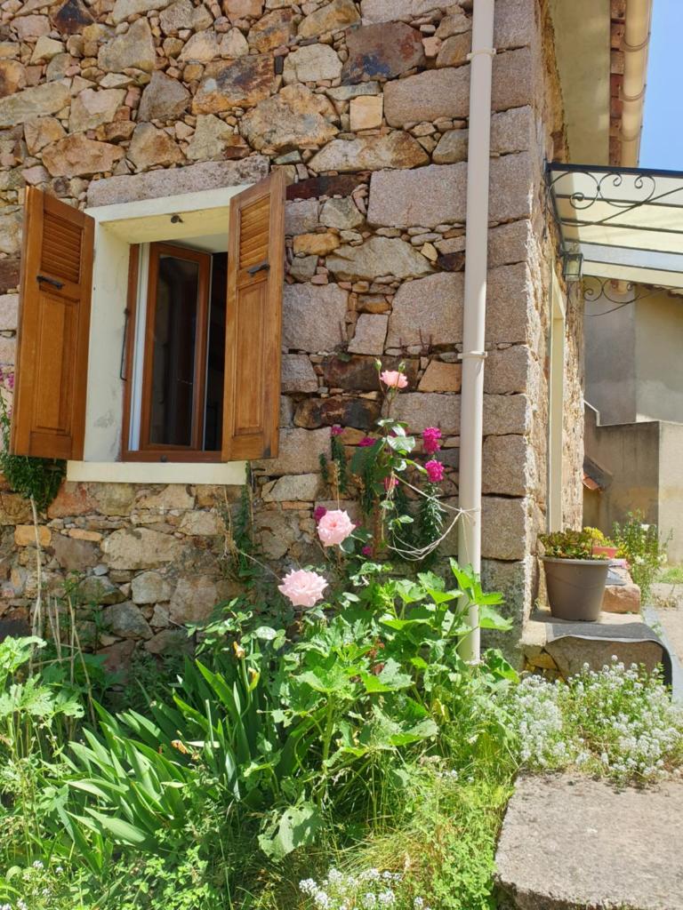 Casa Mighe photo 3