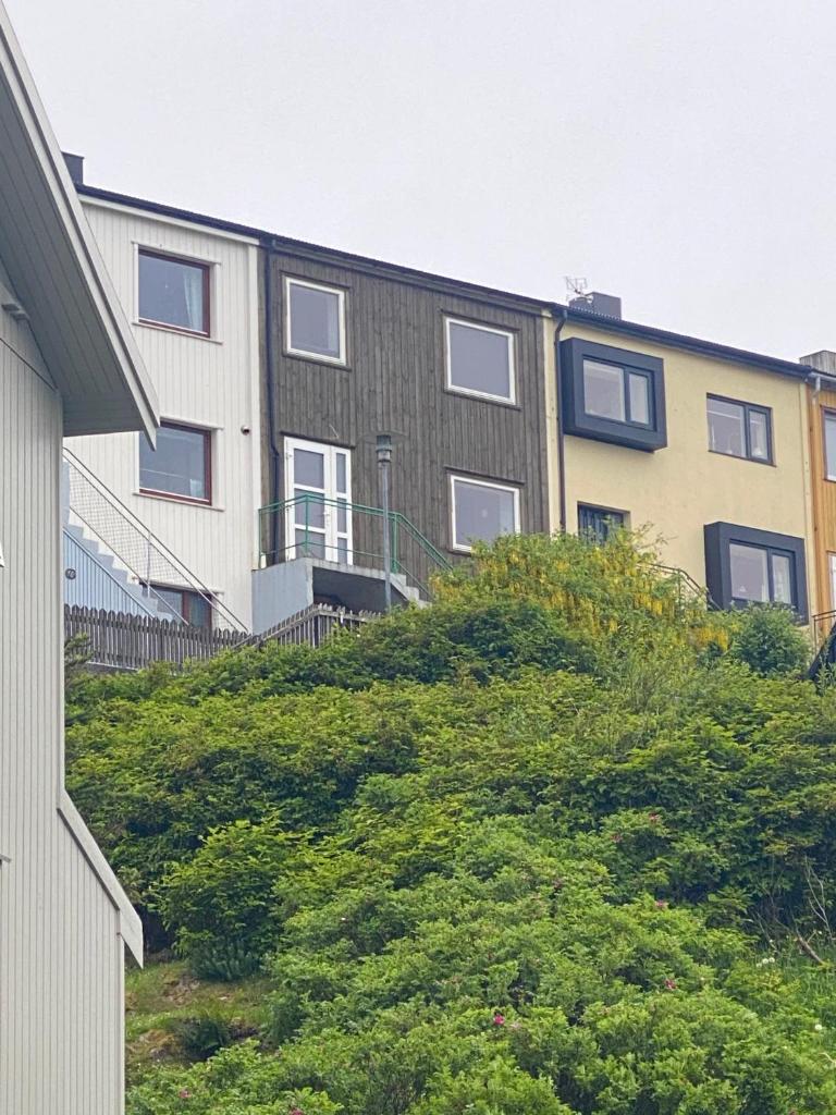 Newly renovated house with garden and ocean view photo 1