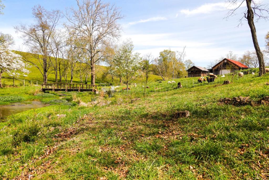 Abingdon Vacation Rental Tiny Home on 10-Acre Farm photo 1