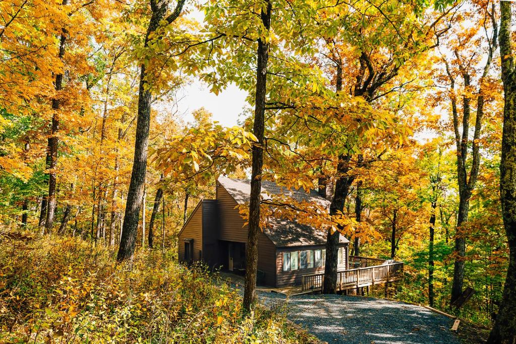 Winter Retreat at Oak Ledge! Ski Tips & Cozy Sips photo 1