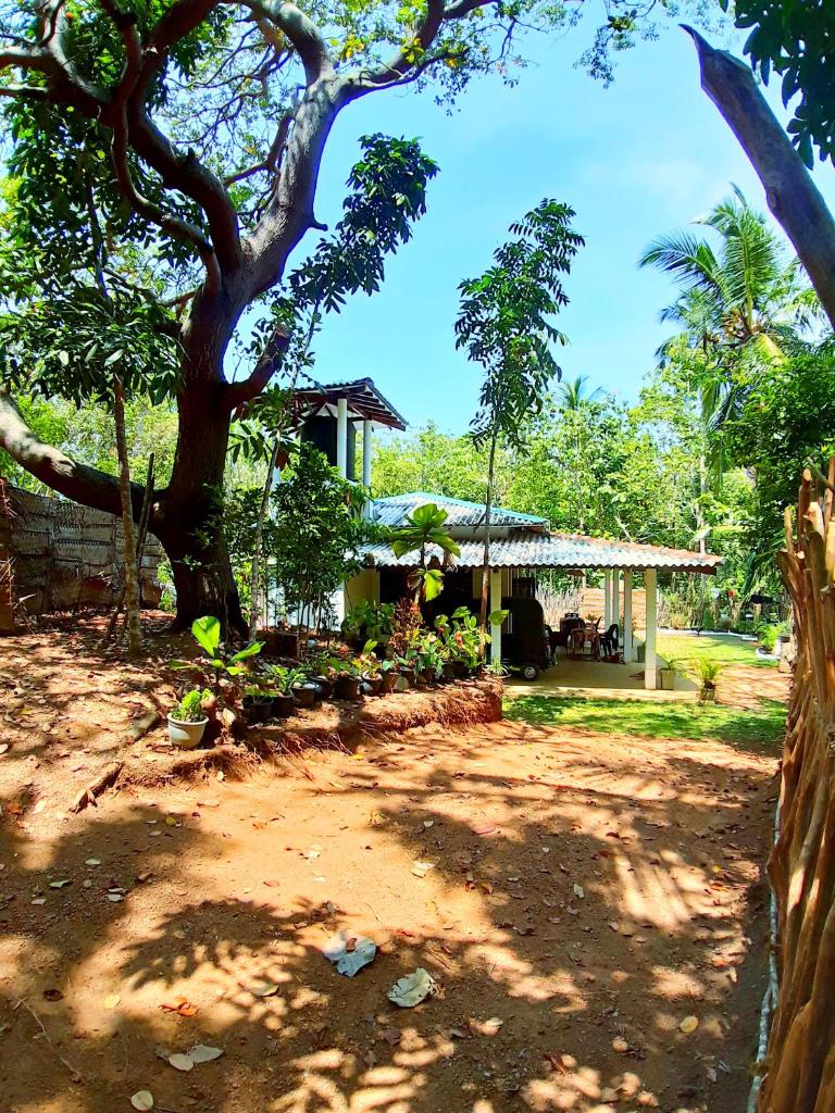 Cashew Villa Hiriketiya photo 2
